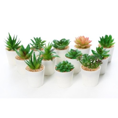 CAJA CACTUS MINI ARTIFICIAL  12 PCS