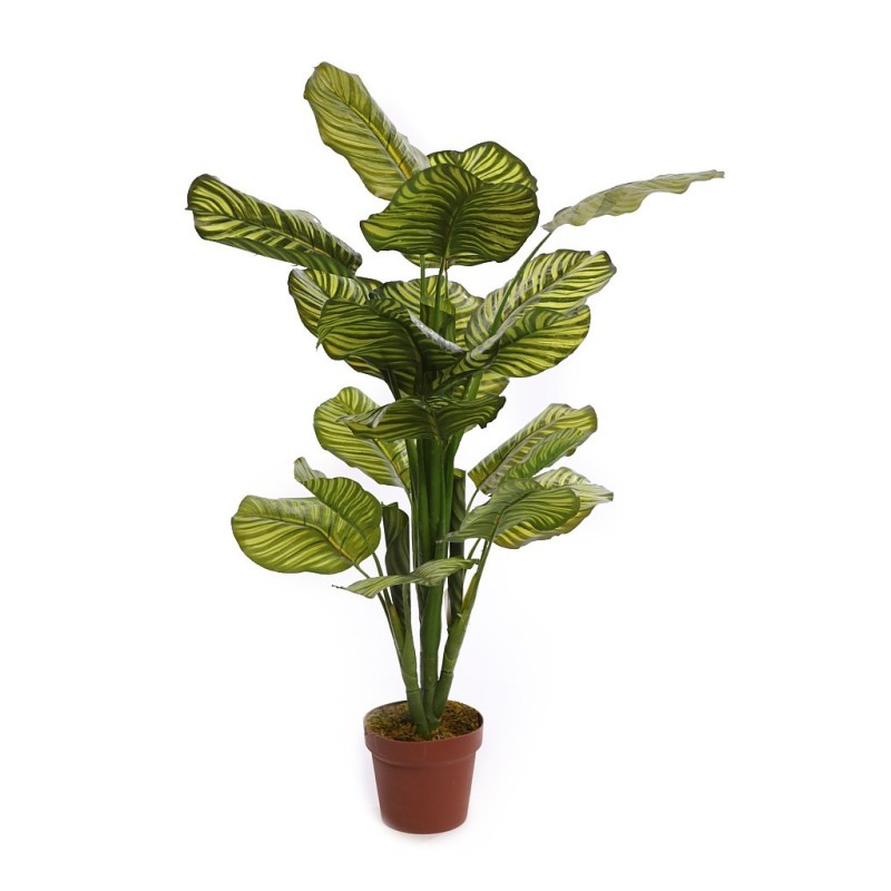 CALATHEA ARTIFICIAL EN MACETA 120CM