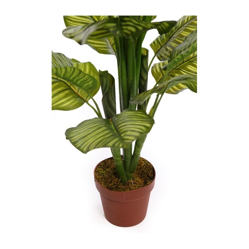 CALATHEA ARTIFICIAL EN MACETA 120CM