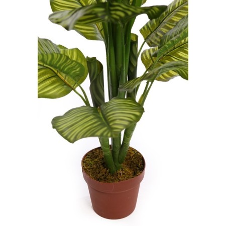CALATHEA ARTIFICIAL EN MACETA 120CM