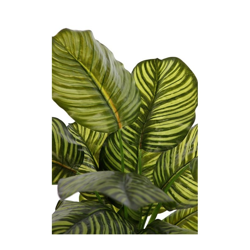 CALATHEA ARTIFICIAL EN MACETA 120CM