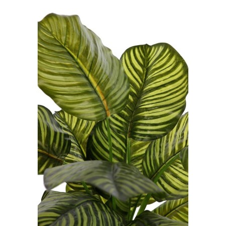 CALATHEA ARTIFICIAL EN MACETA 120CM