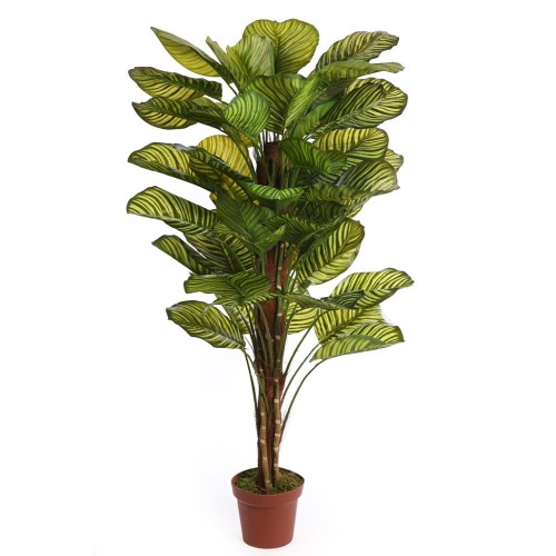 CALATHEA ARTIFICIAL EN MACETA 150CM