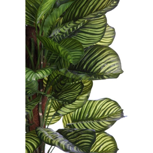 CALATHEA ARTIFICIAL EN MACETA 150CM 2