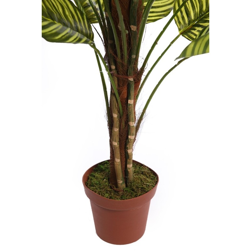 CALATHEA ARTIFICIAL EN MACETA 150CM