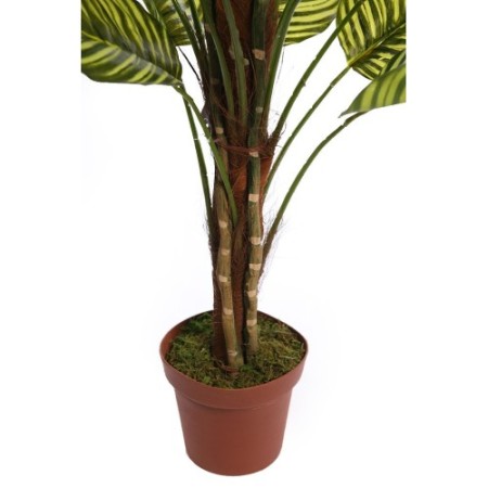 CALATHEA ARTIFICIAL EN MACETA 150CM