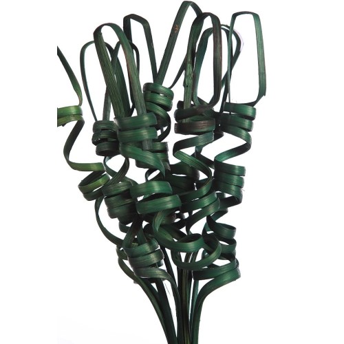 CANE TING TING 70CM 2