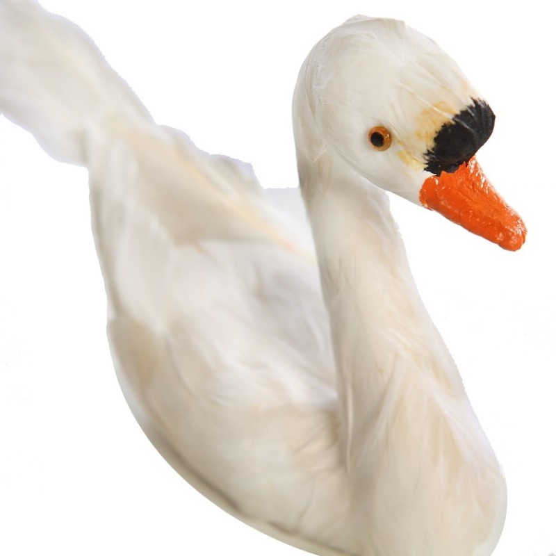 CISNE PLUMAS 24CM