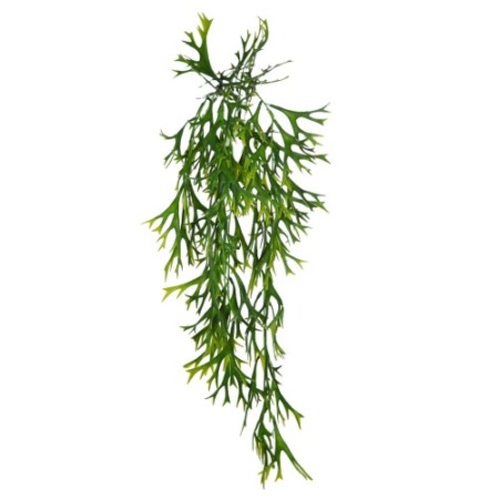 COLGANTE CUERNO DE ALCE ARTIFICIAL 60CM