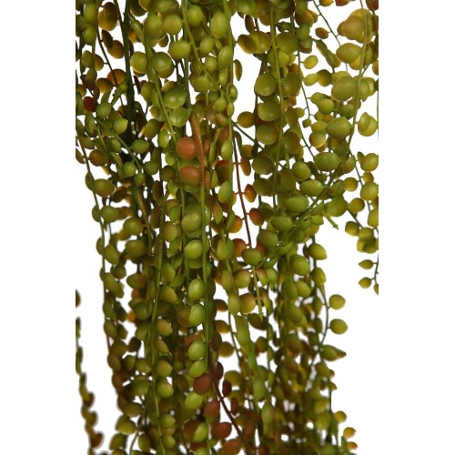 COLGANTE EUCALIPTO 100CM 2