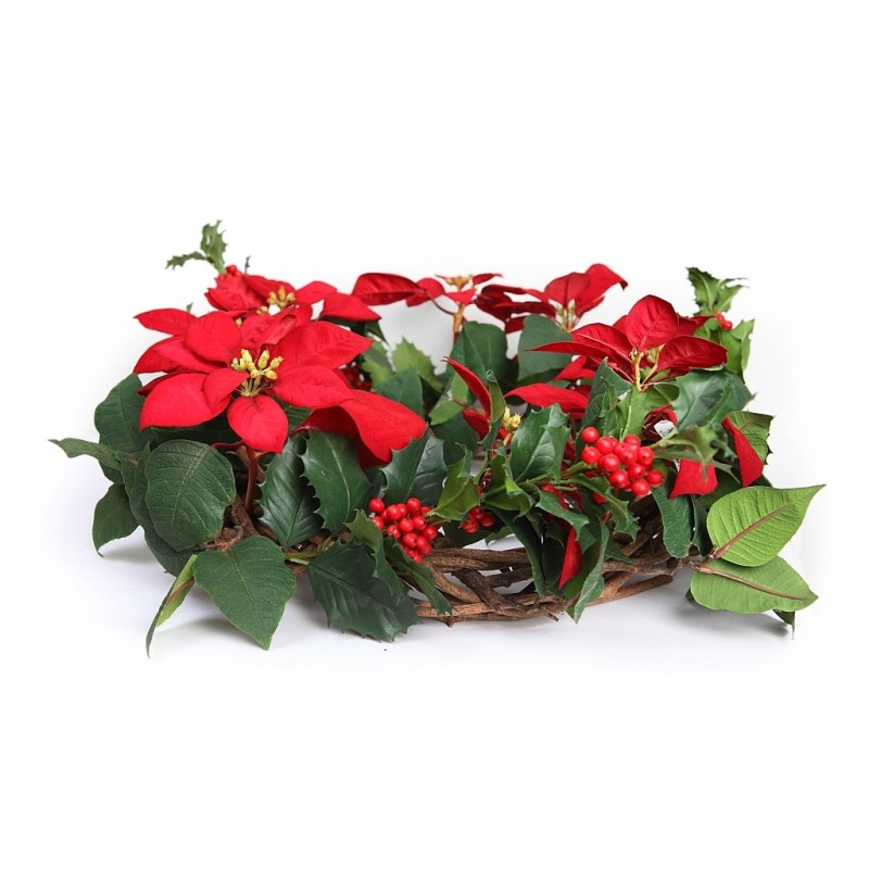 CORONA PONSETIA ACEBO ø 60CM