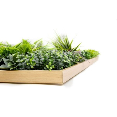 CUADRO VEGETAL ARTIFICIAL 100X100CM