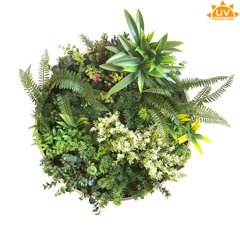 CUADRO VEGETAL REDONDO ø 50CM