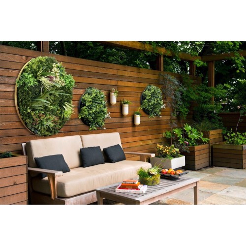 CUADRO VEGETAL REDONDO ø 50CM 2