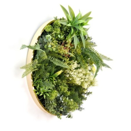 CUADRO VEGETAL REDONDO ø 50CM