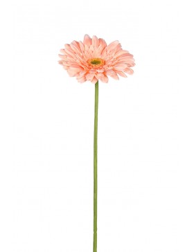 Gerbera Tallo Flocado 64cm - Comprar al mejor precio Online