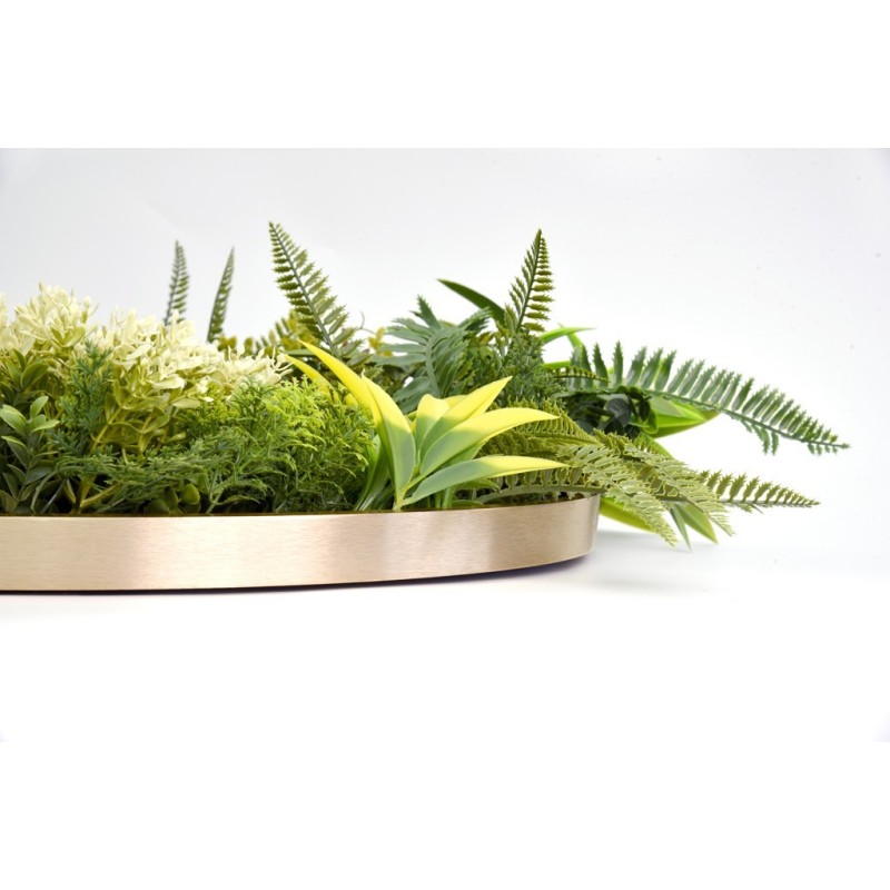 CUADRO VEGETAL REDONDO ø 50CM