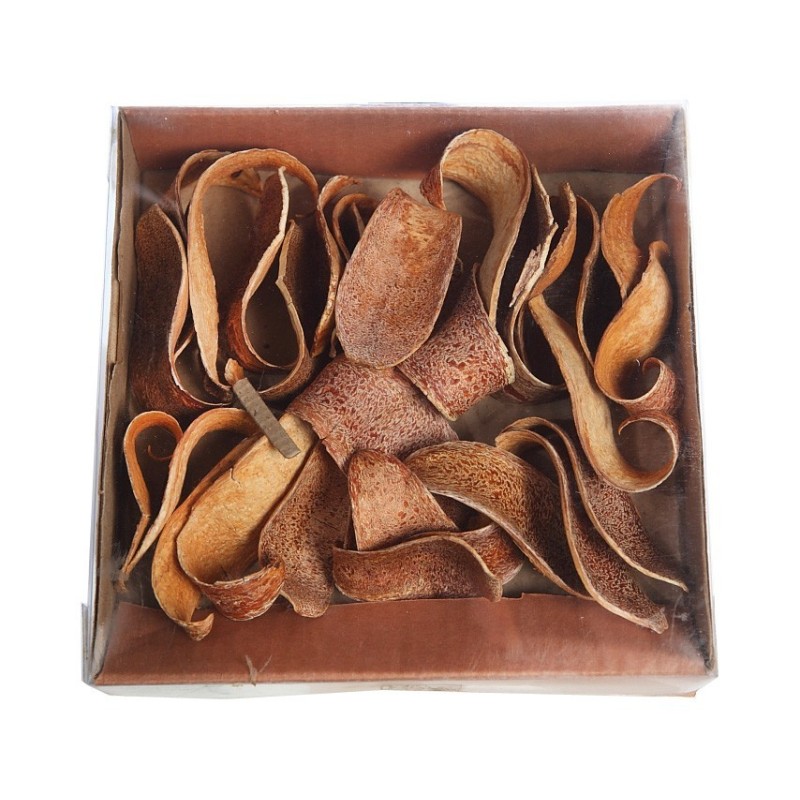 CUCHARA CORTEZA NATURAL CAJA 30 UNIDADES APROX