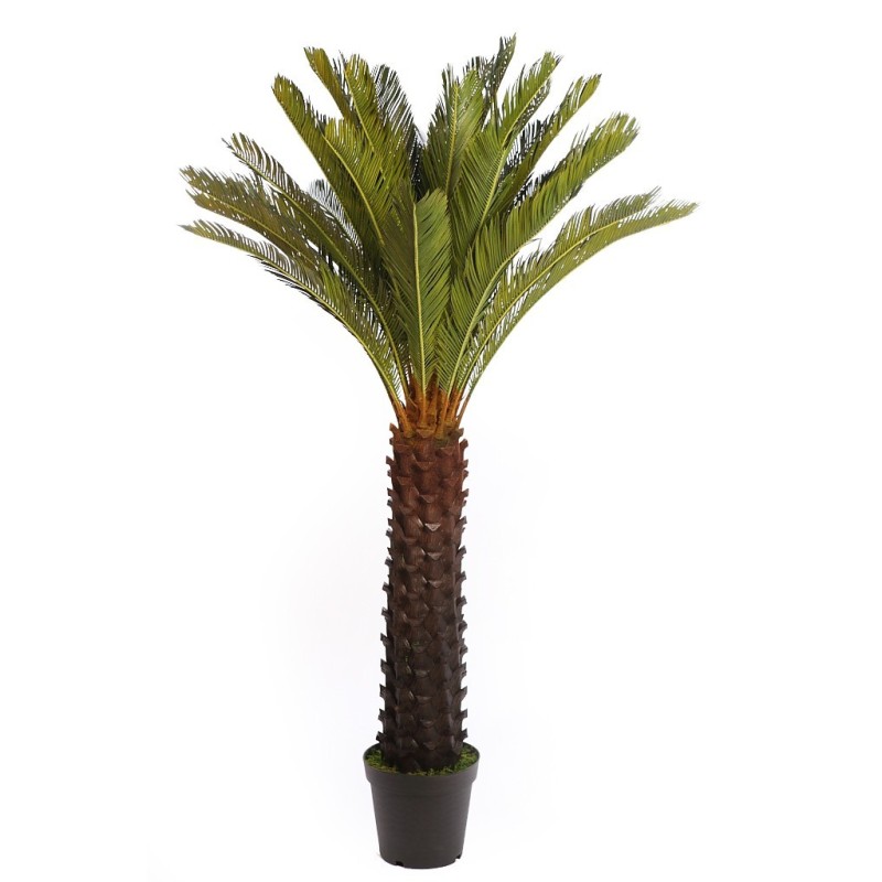 CYCA ARTIFICIAL EN MACETA 150CM ANCHO 90CM