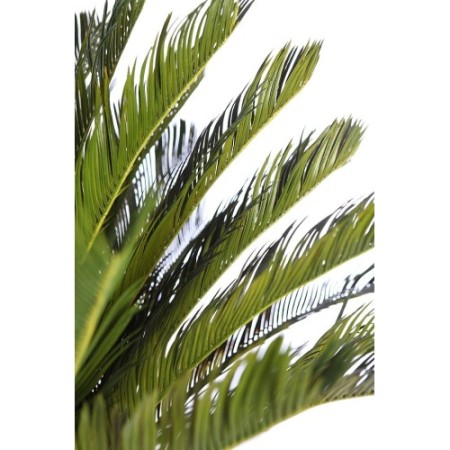 CYCA ARTIFICIAL EN MACETA 150CM ANCHO 90CM