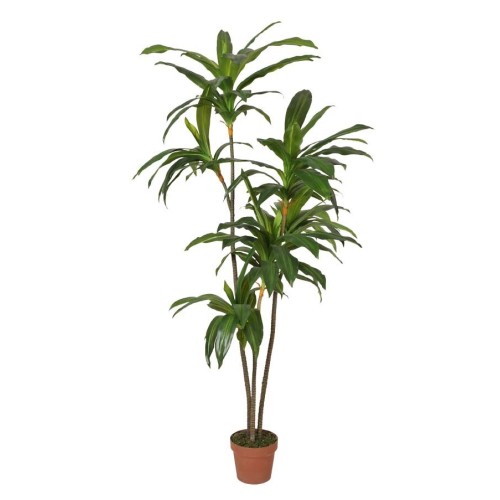 DRACENA ARTIFICIAL CON MACETA 175CM ANCHO 70CM