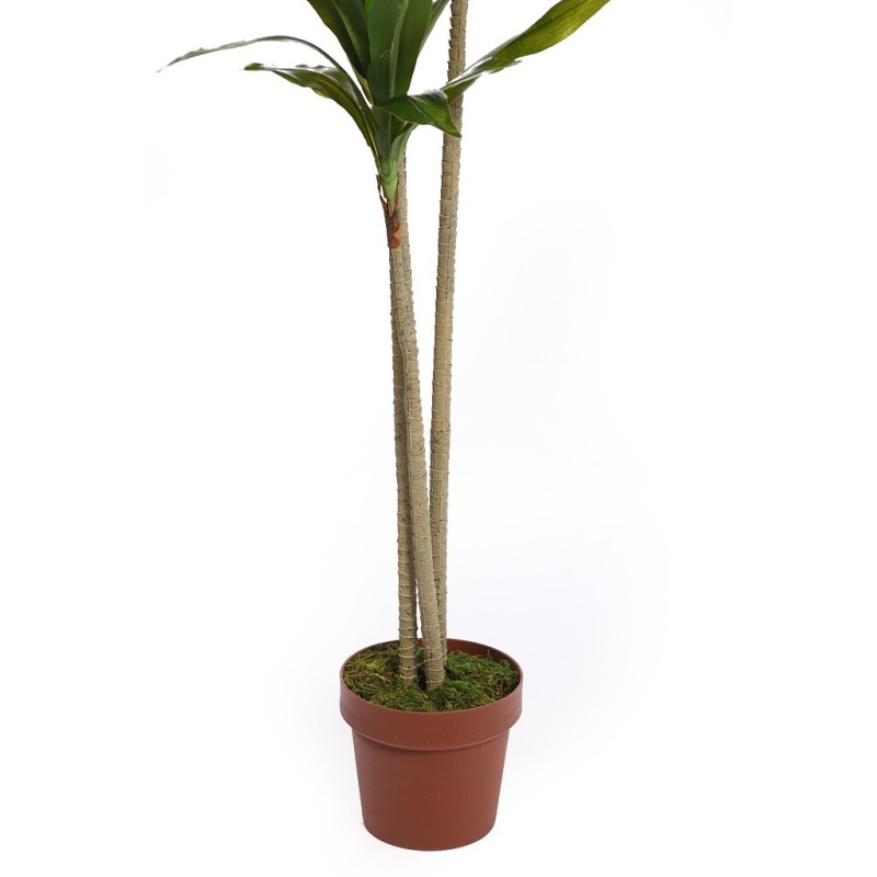DRACENA ARTIFICIAL CON MACETA 175CM ANCHO 70CM