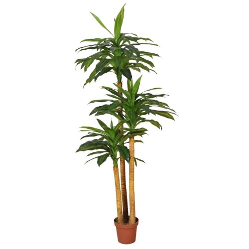DRACENA ARTIFICIAL EN MACETA 170CM ANCHO 80CM