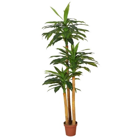 DRACENA ARTIFICIAL EN MACETA 170CM ANCHO 80CM
