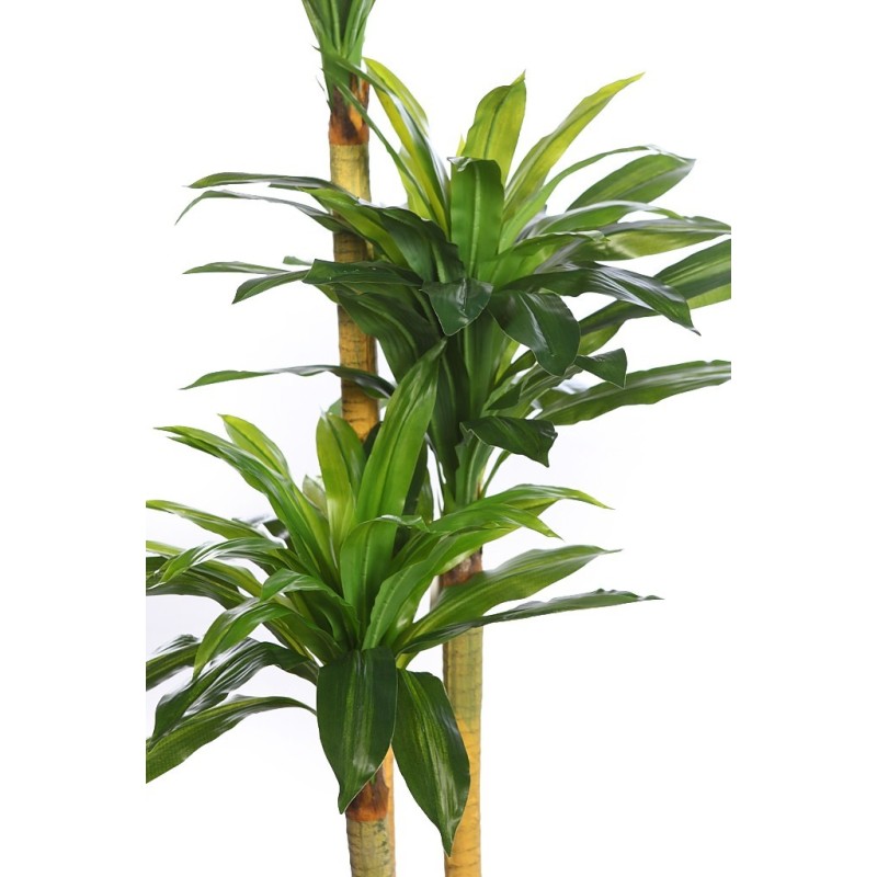 DRACENA ARTIFICIAL EN MACETA 170CM ANCHO 80CM