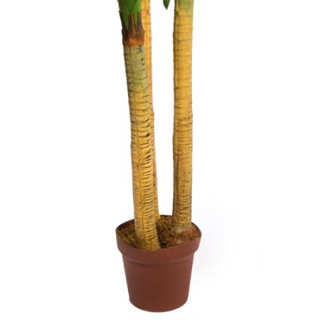 DRACENA ARTIFICIAL EN MACETA 170CM ANCHO 80CM