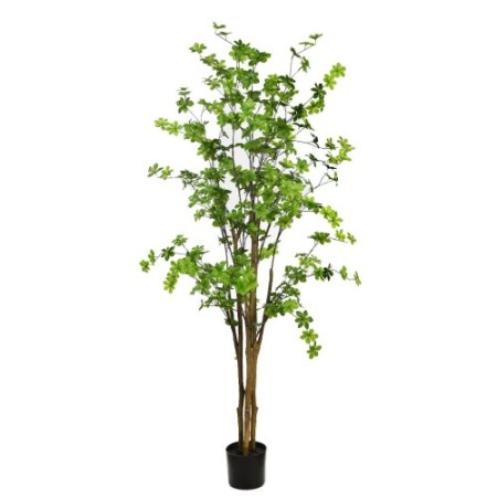ENKIANTHUS ARTIFICIAL CON MACETA 180CM