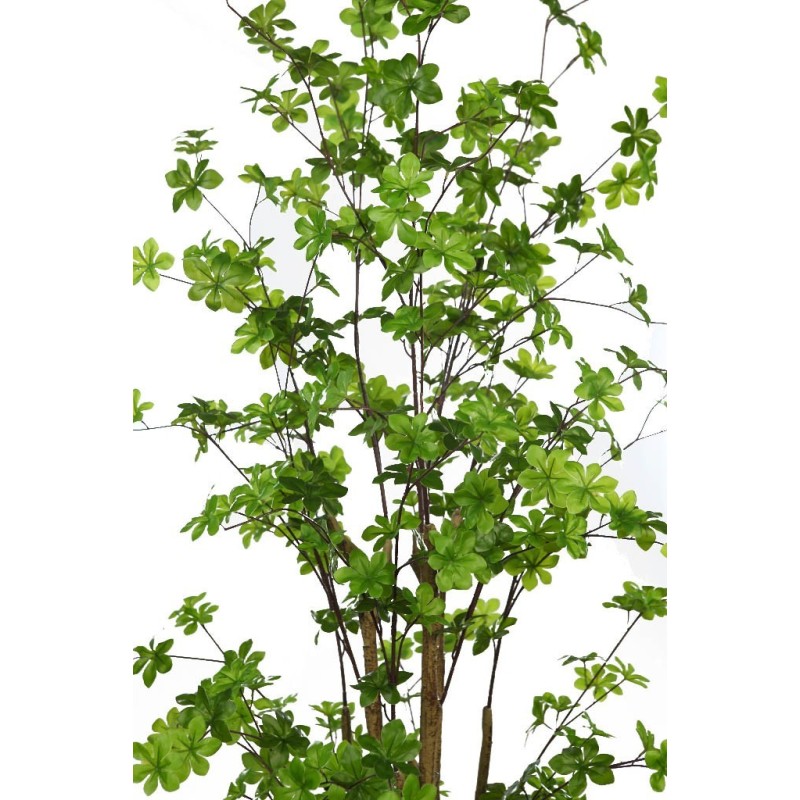 ENKIANTHUS ARTIFICIAL CON MACETA 180CM