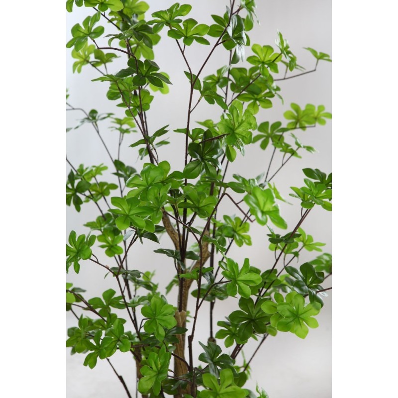 ENKIANTHUS ARTIFICIAL EN MACETA 145CM