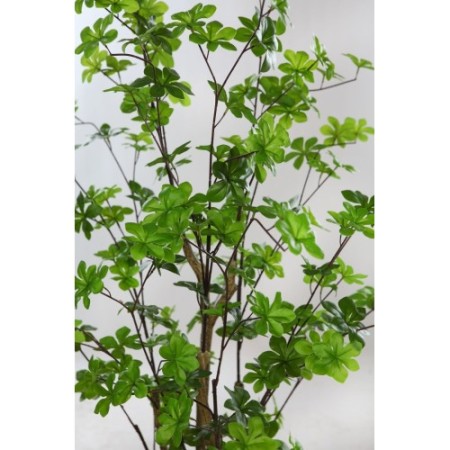 ENKIANTHUS ARTIFICIAL EN MACETA 145CM