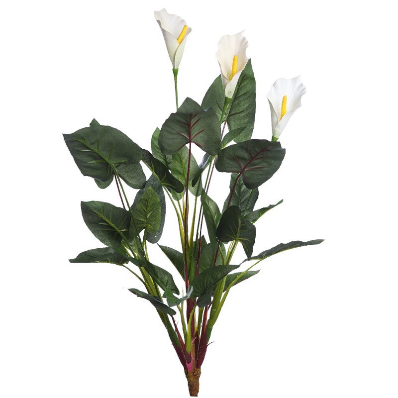 CALA LILY 61CM
