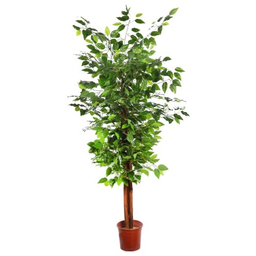 FICUS ARTIFICIAL ARBOL 145CM