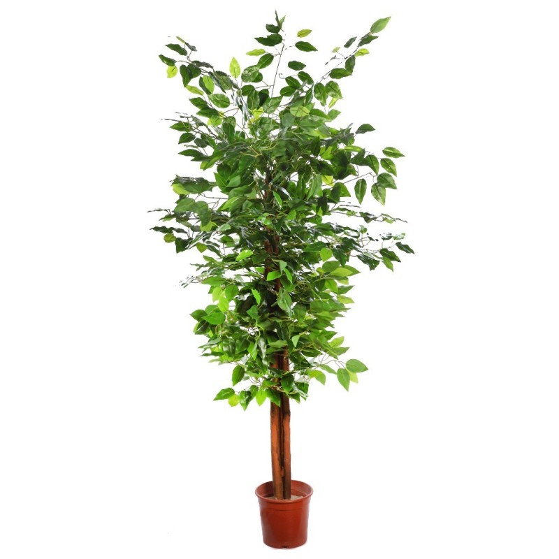 FICUS ARTIFICIAL ARBOL 145CM