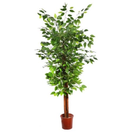 FICUS ARTIFICIAL ARBOL 145CM