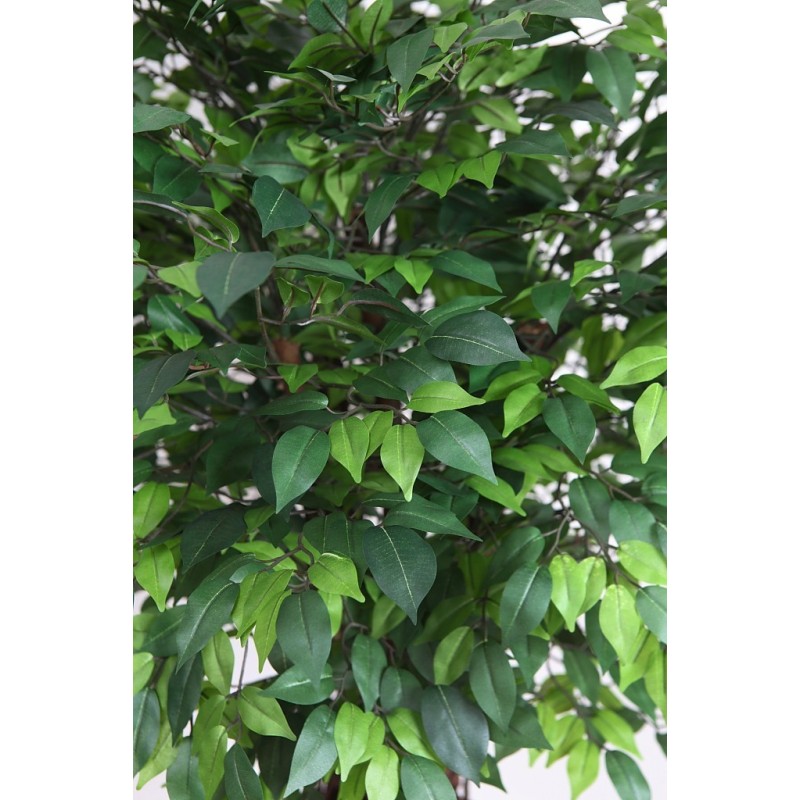FICUS ARTIFICIAL TRONCO LIANA 160CM