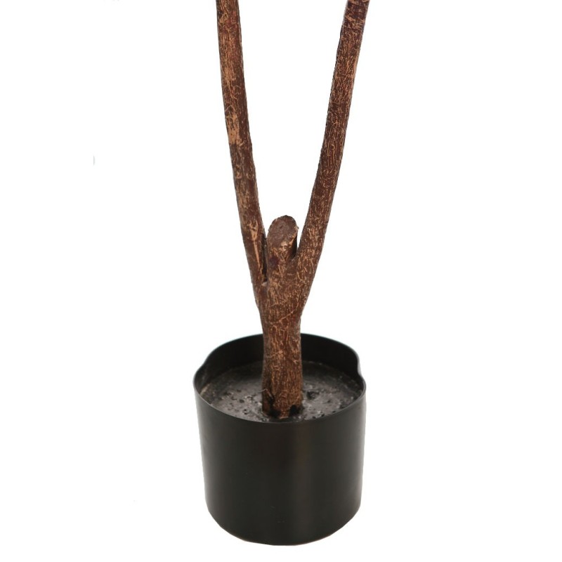 FICUS LYRATA EN MACETA 120CM