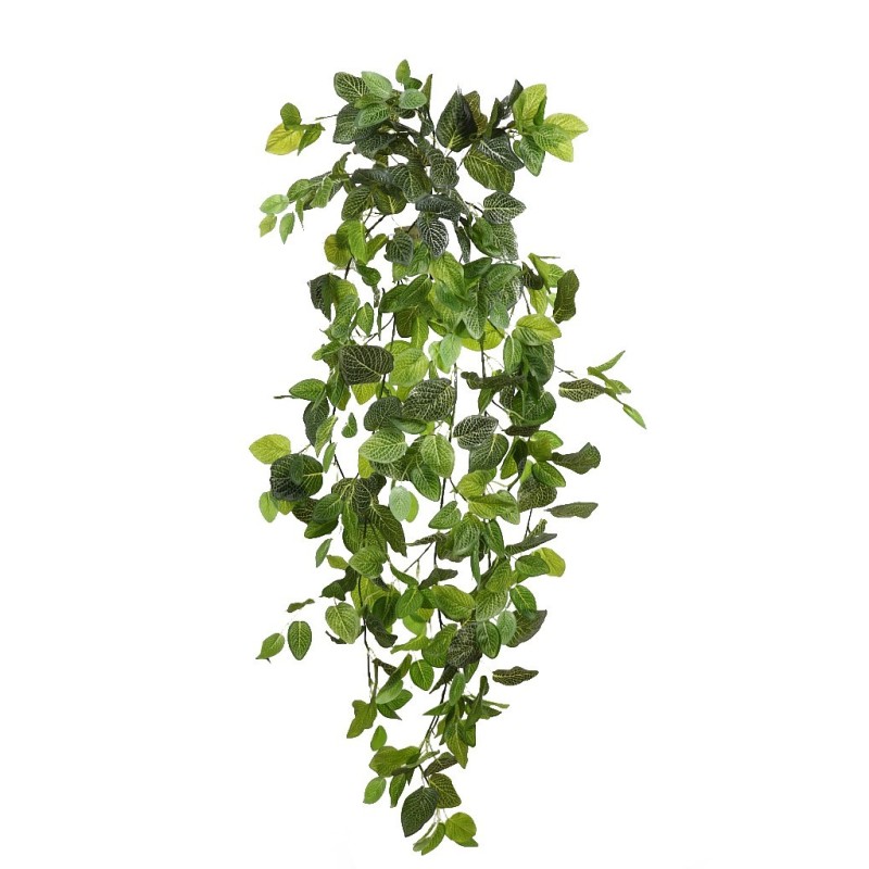 FITONIA COLGANTE ARTIFICIAL 120CM