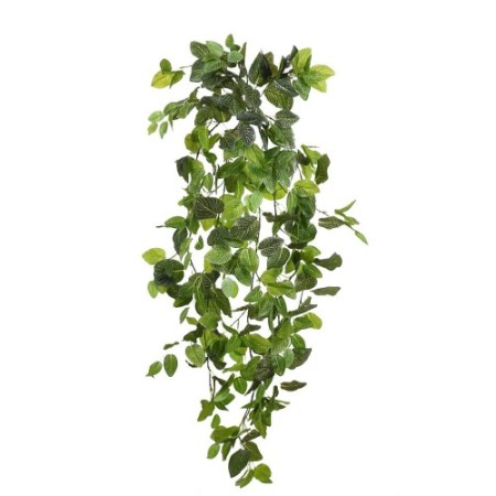 FITONIA COLGANTE ARTIFICIAL 120CM