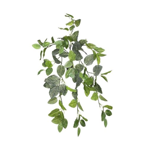 FITONIA COLGANTE ARTIFICIAL 50CM
