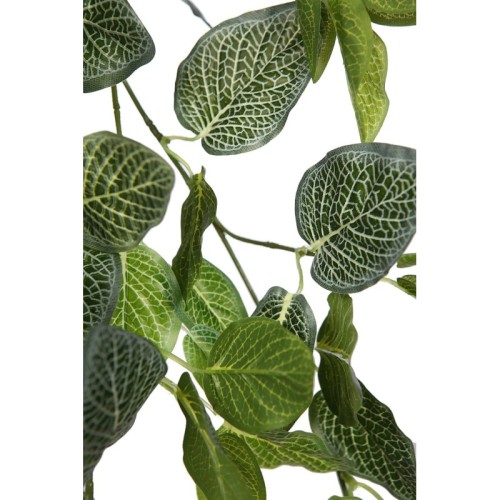 FITONIA COLGANTE ARTIFICIAL 50CM 2