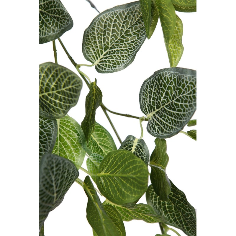 FITONIA COLGANTE ARTIFICIAL 50CM