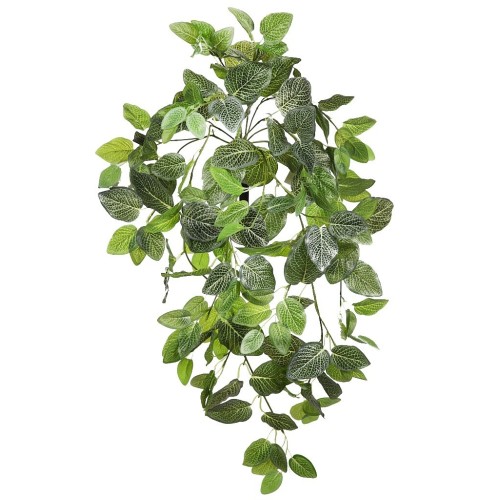 FITONIA COLGANTE ARTIFICIAL 80CM