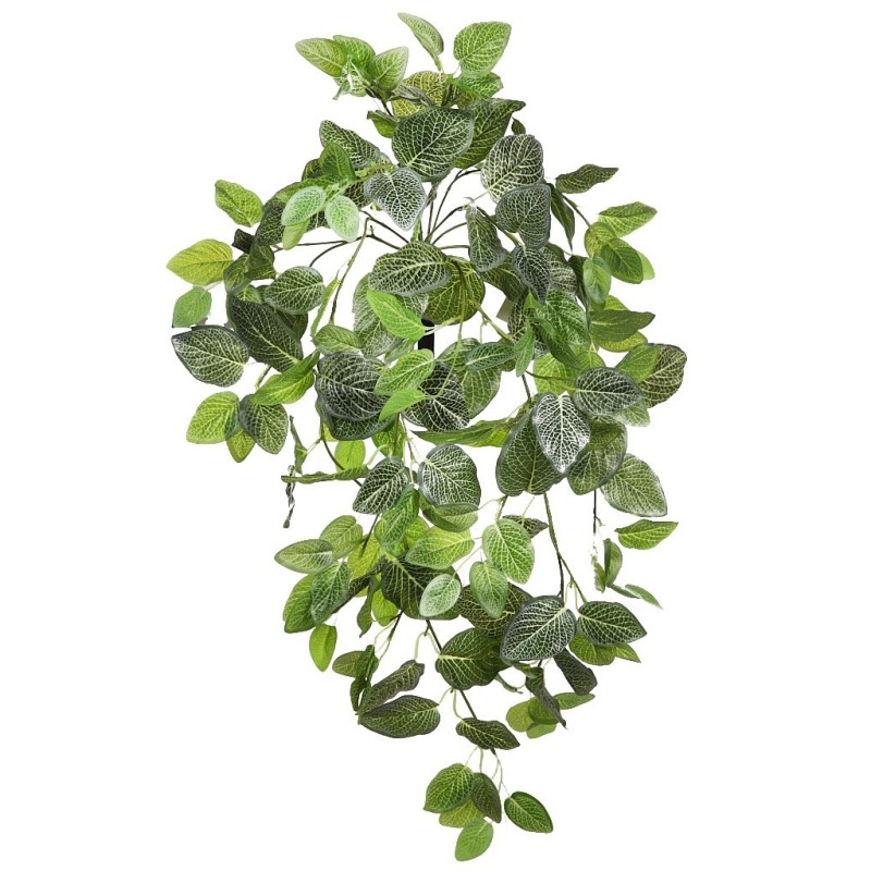 FITONIA COLGANTE ARTIFICIAL 80CM