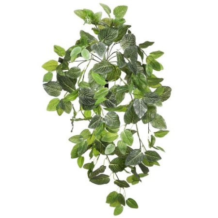 FITONIA COLGANTE ARTIFICIAL 80CM