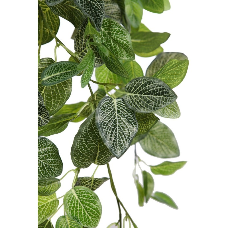 FITONIA COLGANTE ARTIFICIAL 80CM