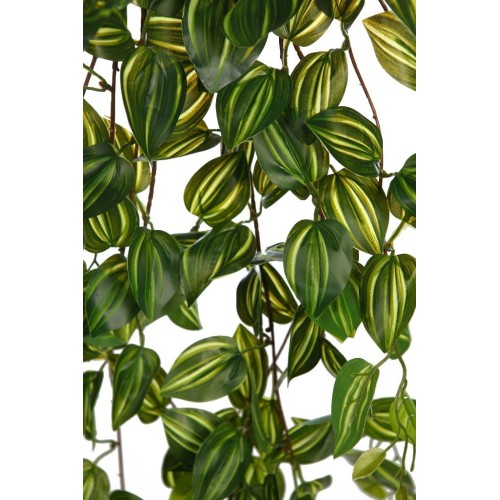FITONIA COLGANTE ARTIFICIAL 90CM 2